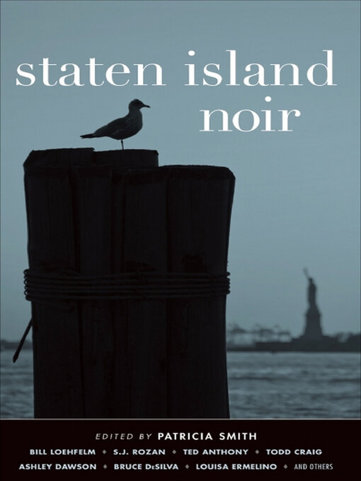 Cover image for Staten Island Noir